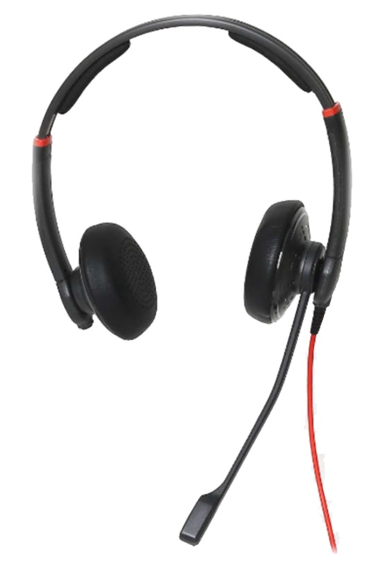 Datalocker TAA COMPLIANT USB HEADSET (Headsets Accessories)