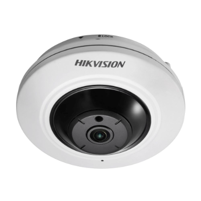 Hikvision DS-2CD2955FWD-IS IP Cameras | Tensor Security