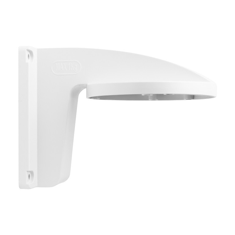DS1258ZJ white