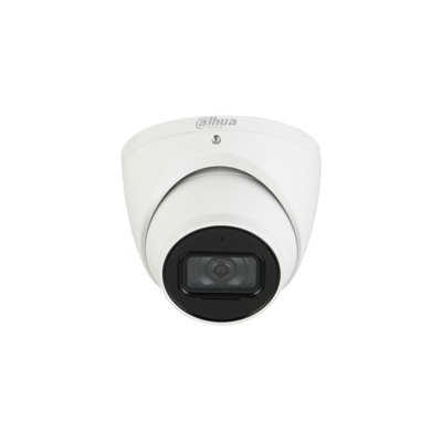 Dahua DH-IPC-HDW2431EMP-AS-S2 (IP Cameras)