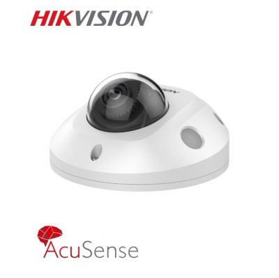 Hikvision DS-2CD2546G2-IS (IP Cameras)